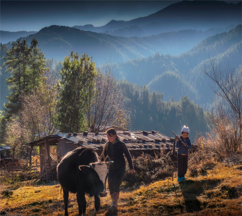 Tang Valley