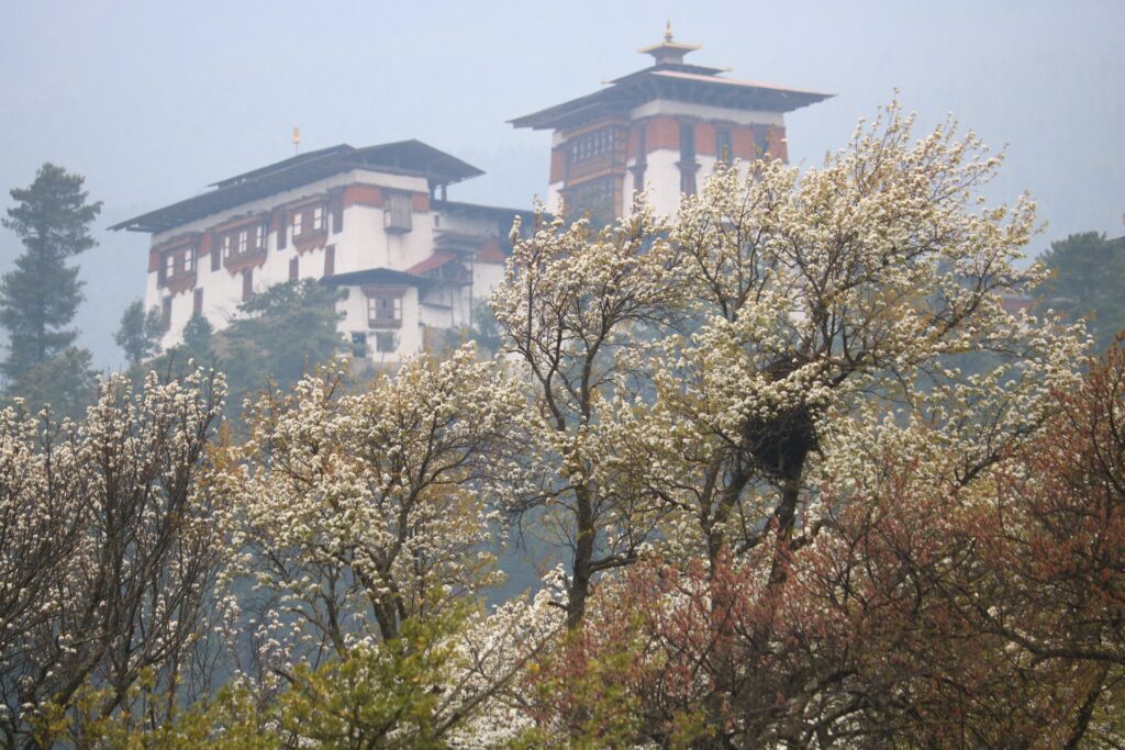 Jakar Dzong from Wangduechoeling Palace